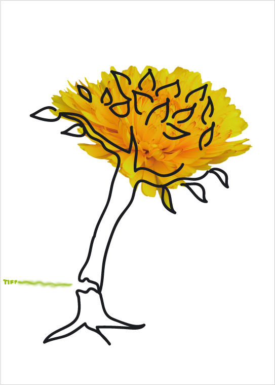 "Puzzette di fata", illustrazione di Paola Gregoretti